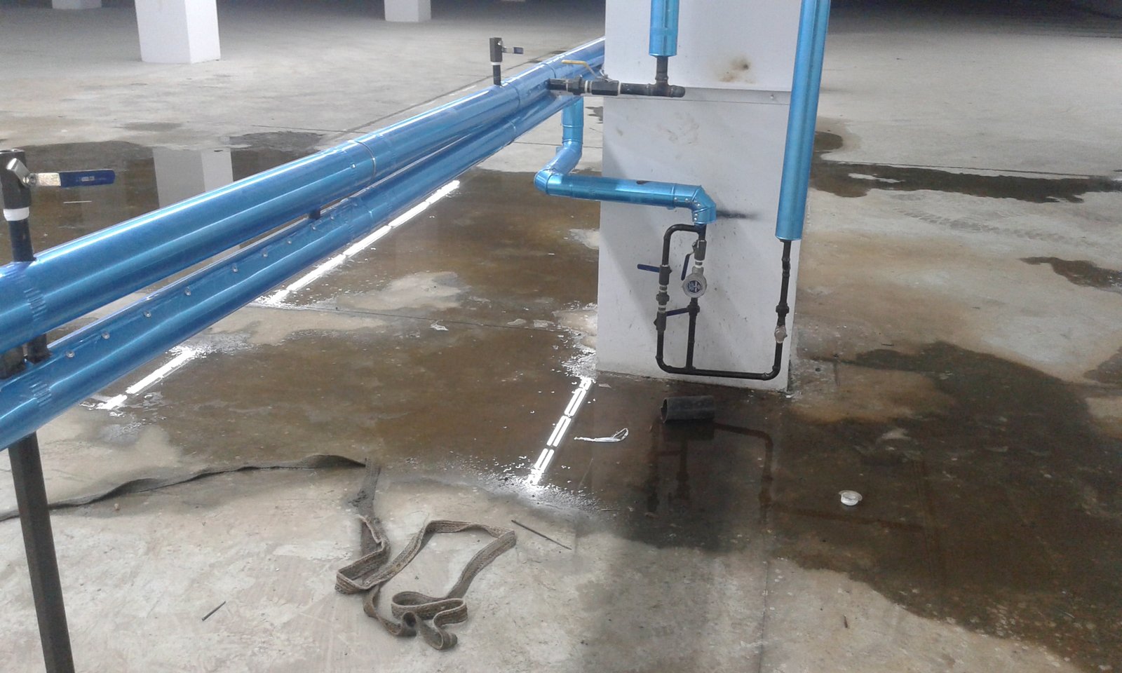 ٢٠١٥١٢٠٨ ٢١٥٦٥١